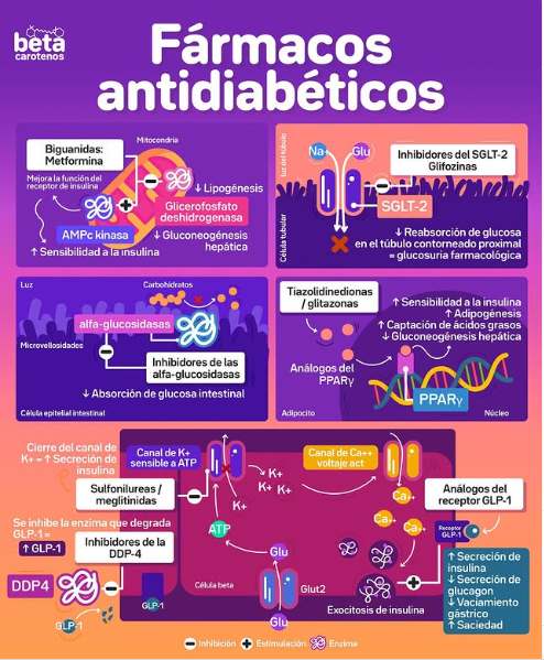 Imagen destacada - Fármacos antidiabéticos