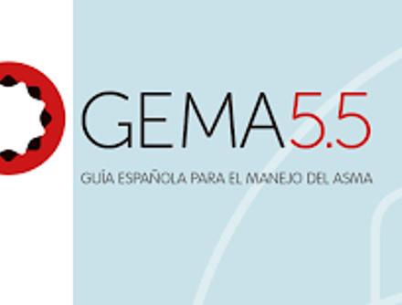 Imagen destacada - Asma según GEMA 5.5
