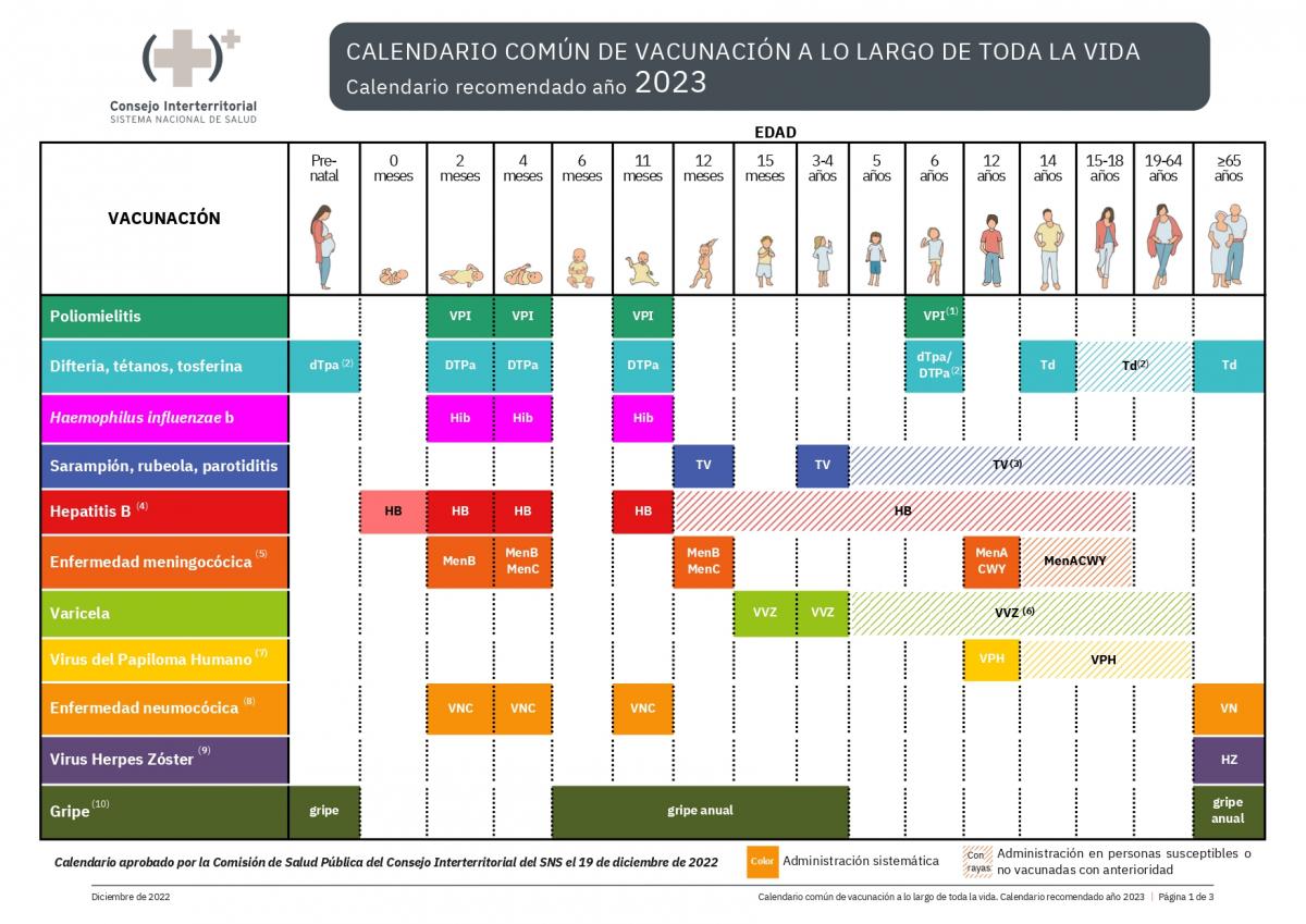 Imagen destacada - Vacunas y Programa de Vacunación del Ministerio de Sanidad del Gobierno de España 