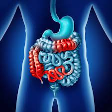 Imagen destacada - Proctocolitis y enteritis