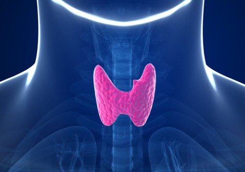 Imagen destacada - Cáncer de tiroides