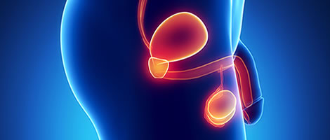 Imagen destacada - Epididimitis