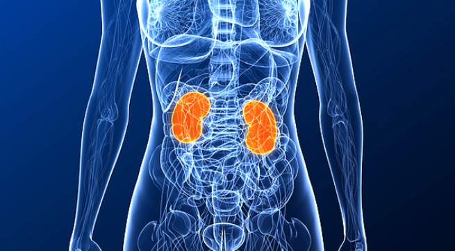Imagen destacada - Enoxaparina e insuficiencia renal